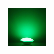 Ampoule LED Piscine  PAR56 18W 12V AC RGB IP68