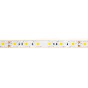 Ruban LED Submersible 24V  DC SMD5050 60led/m 5m IP68
