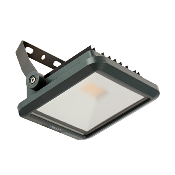 Projecteur LED Philips Mini 10w BVP164 G3