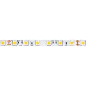Ruban LED 24V  DC SMD5050 60led/m 5m IP20