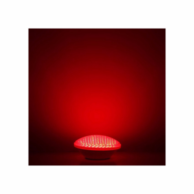 Ampoule LED Piscine  PAR56 18W 12V AC RGB IP68